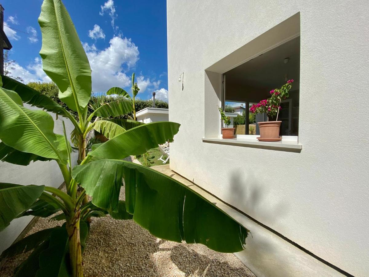 Pathos Guest House Quarto dʼAltino Εξωτερικό φωτογραφία