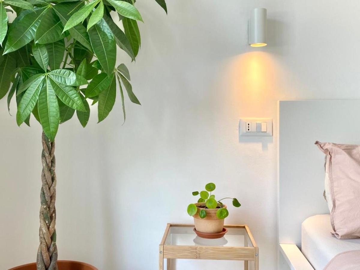 Pathos Guest House Quarto dʼAltino Εξωτερικό φωτογραφία